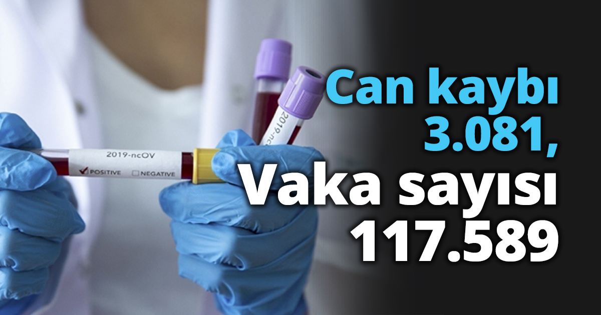 Can kaybı 3.081, Vaka sayısı 117.589