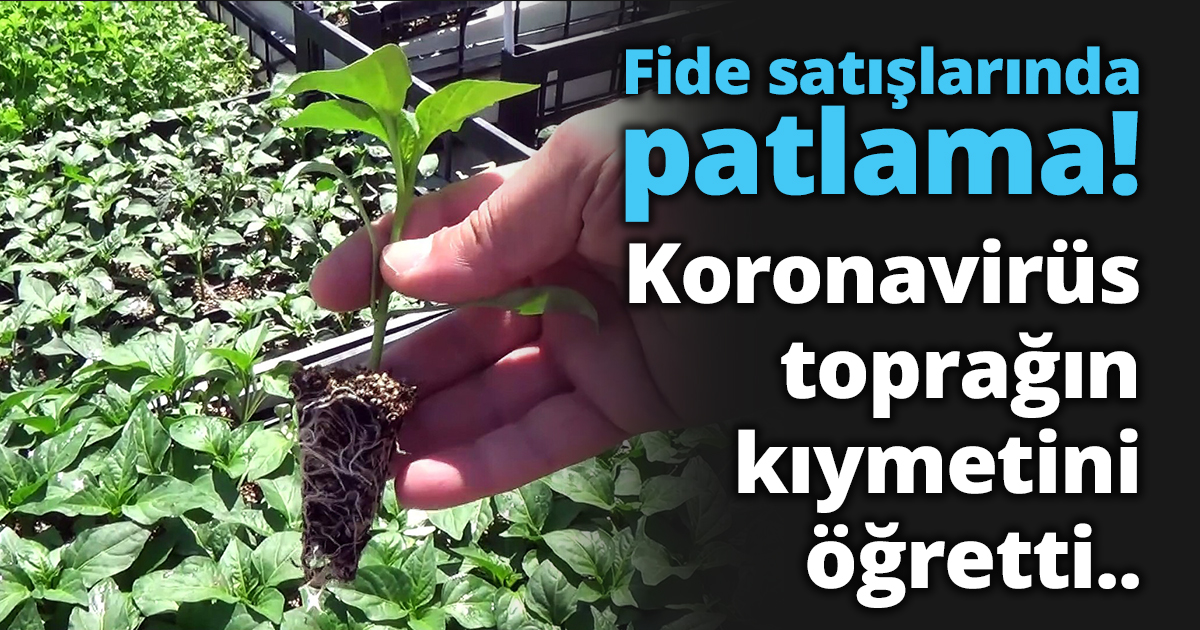 Fide satışlarında patlama!  Koronavirüs toprağın kıymetini öğretti..