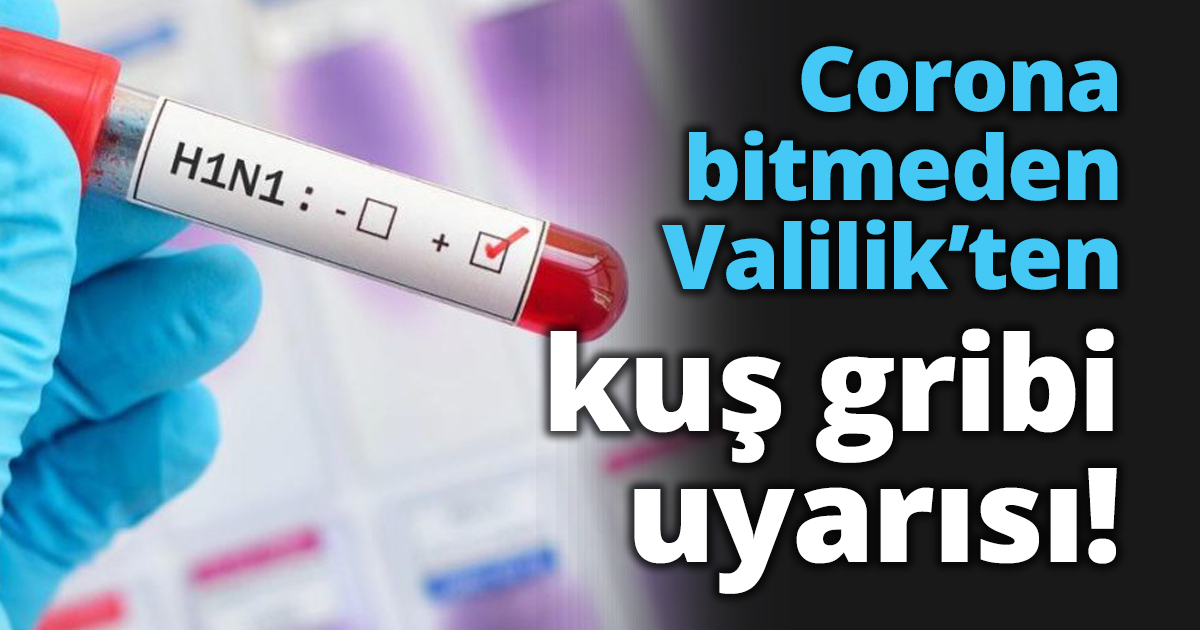 Corona bitmeden Valilik’ten kuş gribi uyarısı!
