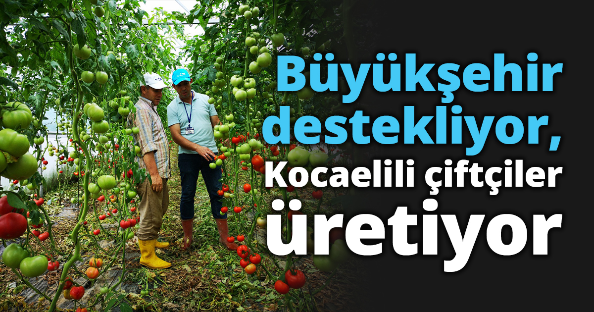 Büyükşehir destekliyor, Kocaelili çiftçiler üretiyor
