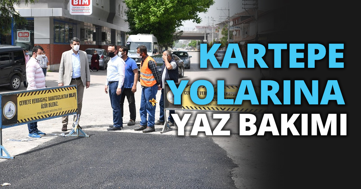 KARTEPE YOLARINA YAZ BAKIMI
