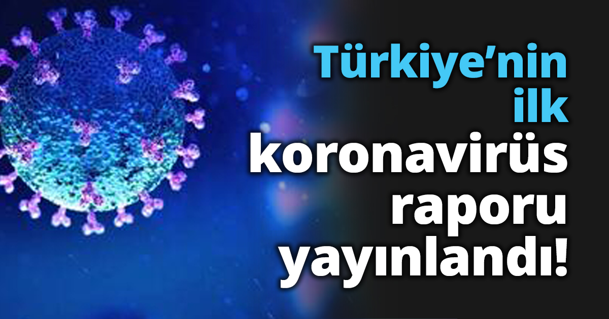 Türkiye’nin ilk koronavirüs raporu yayınlandı!