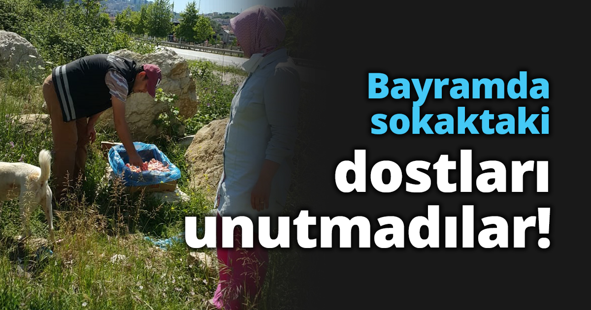 Bayramda sokaktaki dostları unutmadılar!