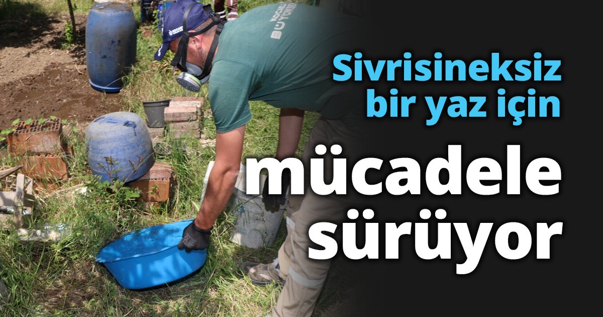 Sivrisineksiz bir yaz için mücadele sürüyor