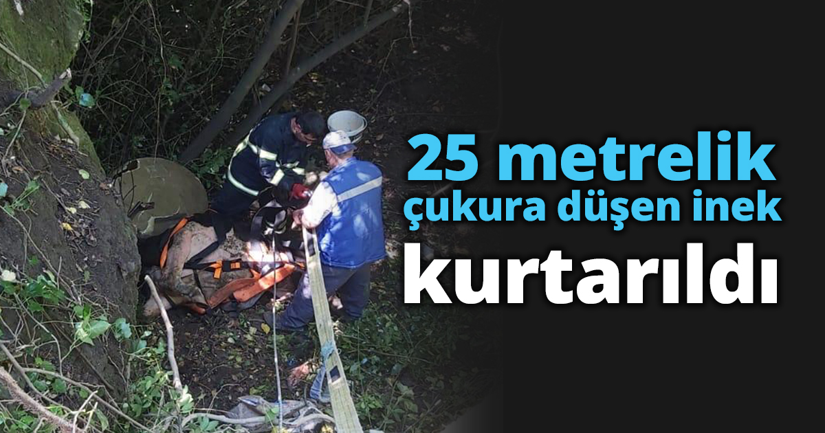 25 metrelik çukura düşen inek kurtarıldı