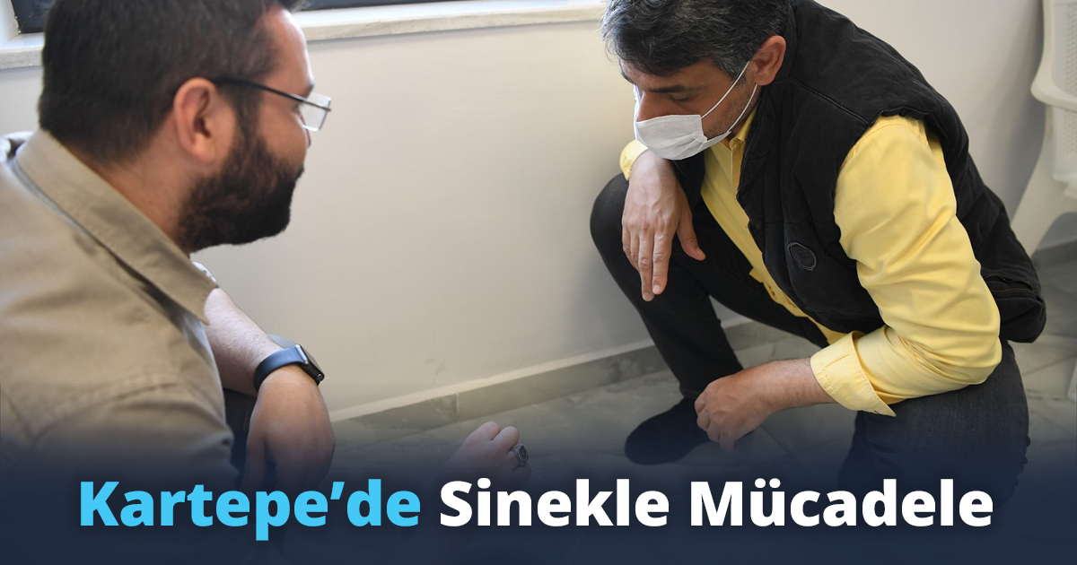 Kartepe’de Sinekle Mücadele
