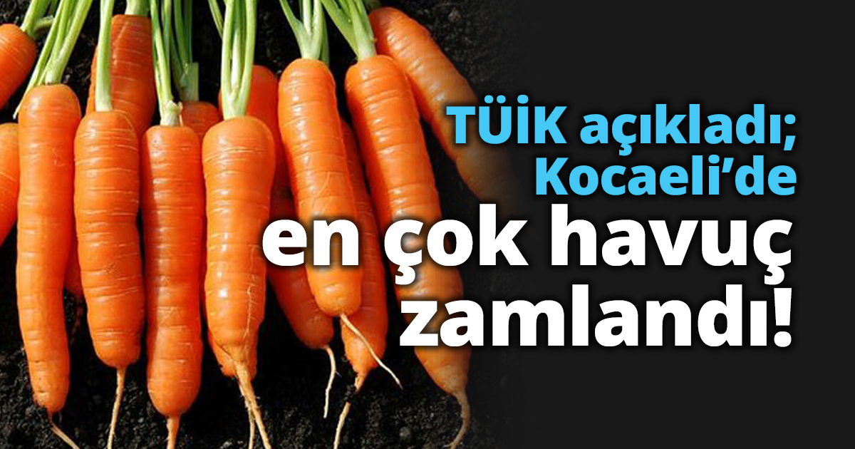 TÜİK açıkladı; Kocaeli’de en çok havuç zamlandı!