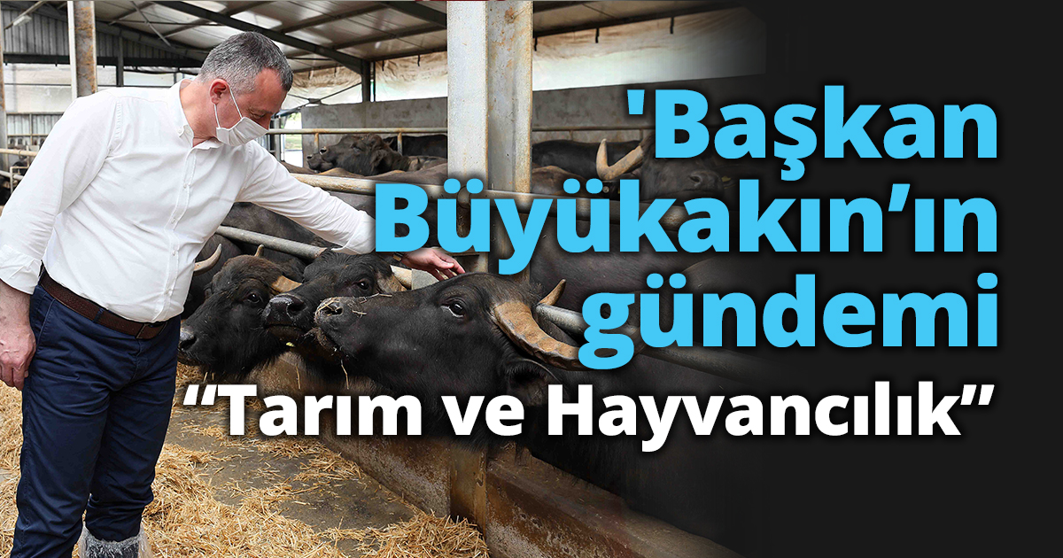 Başkan Büyükakın’ın gündemi “Tarım ve Hayvancılık”