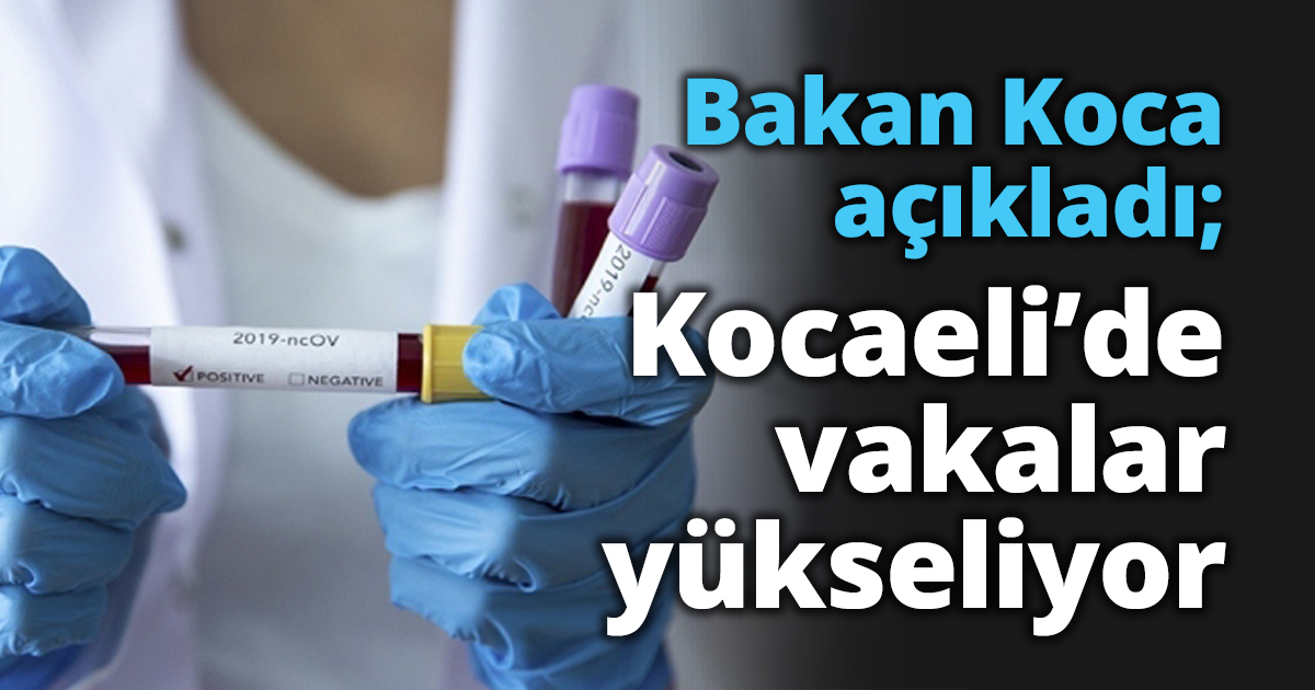 Bakan Koca açıkladı; Kocaeli’de vakalar yükseliyor