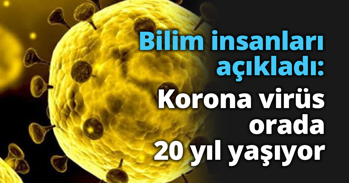 Bilim insanları açıkladı: Korona virüs orada 20 yıl yaşıyor