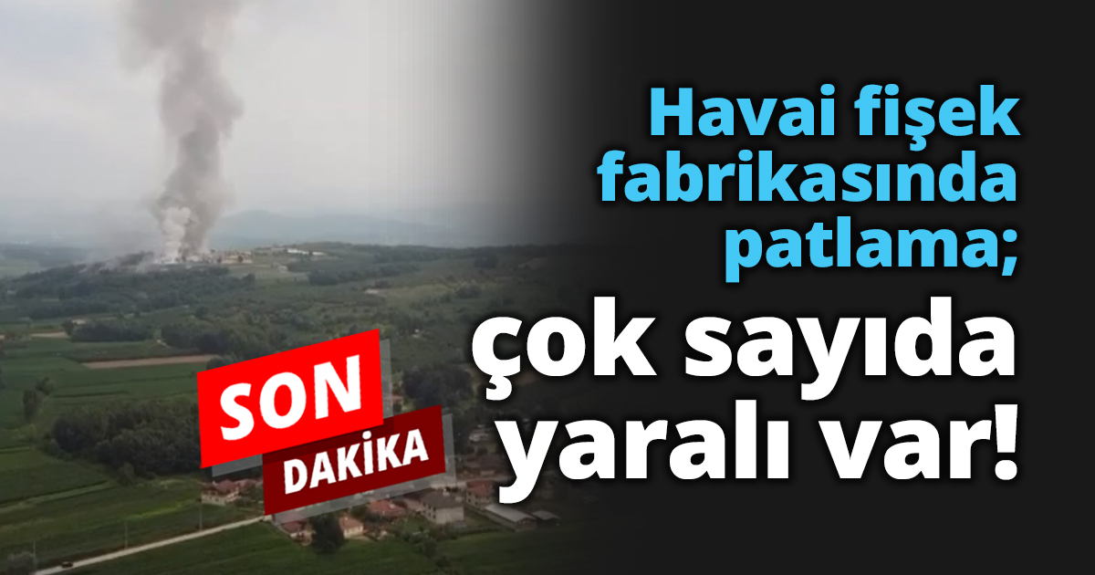 Havai fişek fabrikasında patlama; çok sayıda yaralı var!