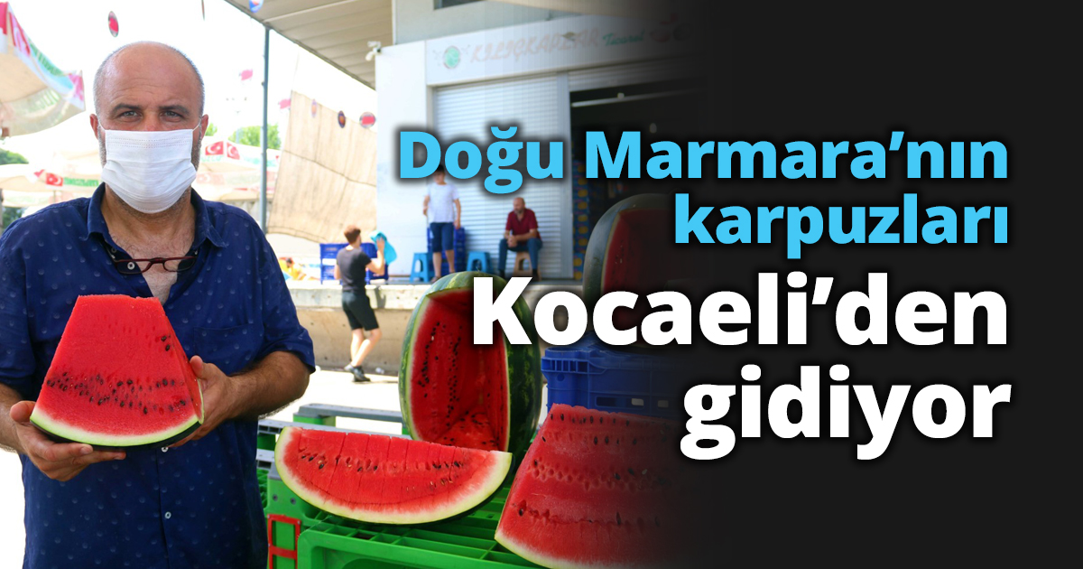 Doğu Marmara’nın karpuzları Kocaeli’den gidiyor