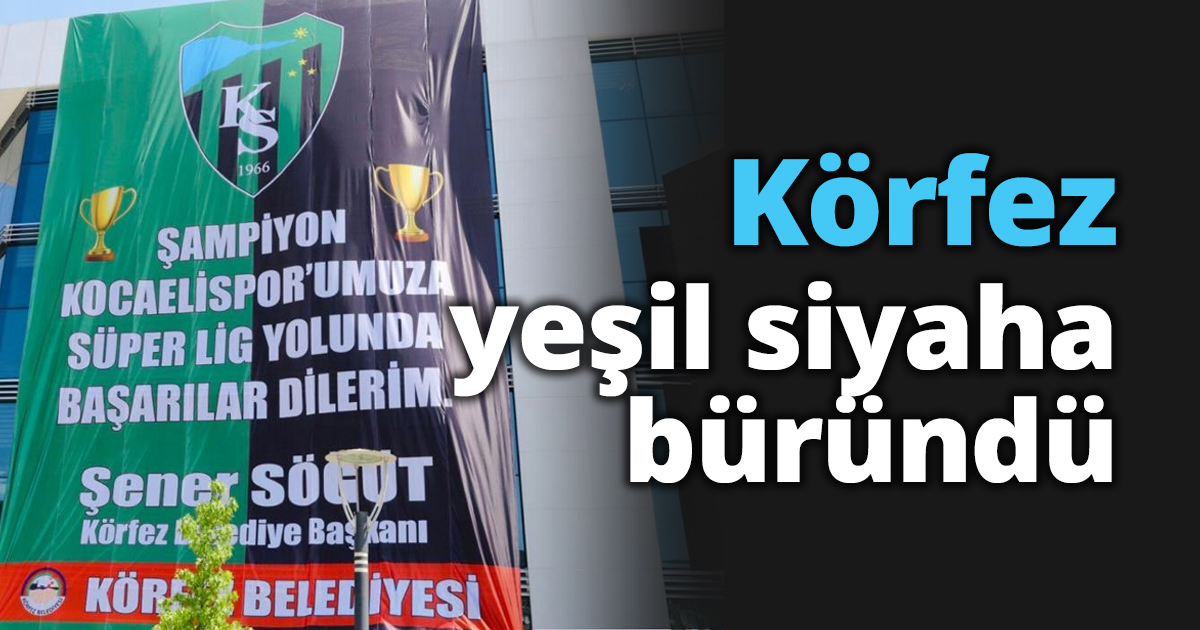 Körfez yeşil siyaha büründü