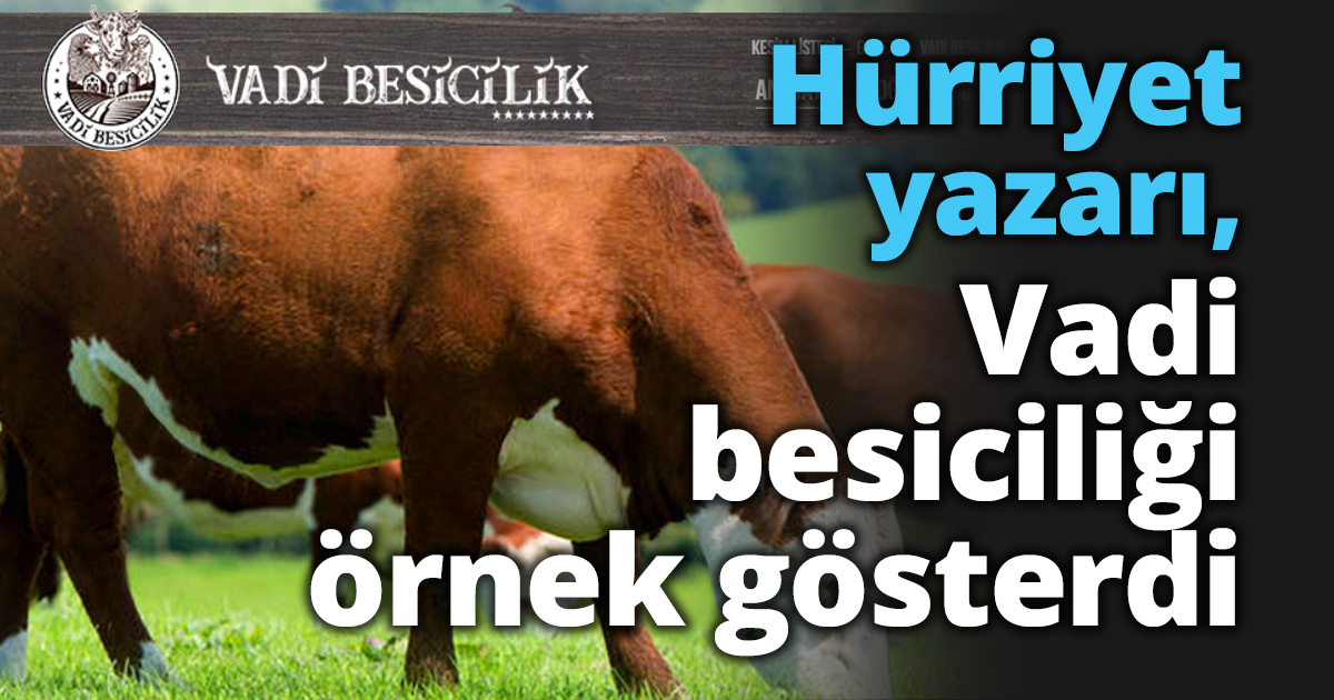 Hürriyet yazarı, Vadi Besiciliği örnek gösterdi
