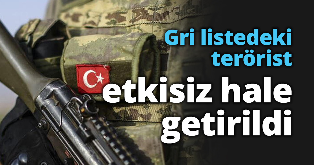 Gri listedeki terörist etkisiz hale getirildi