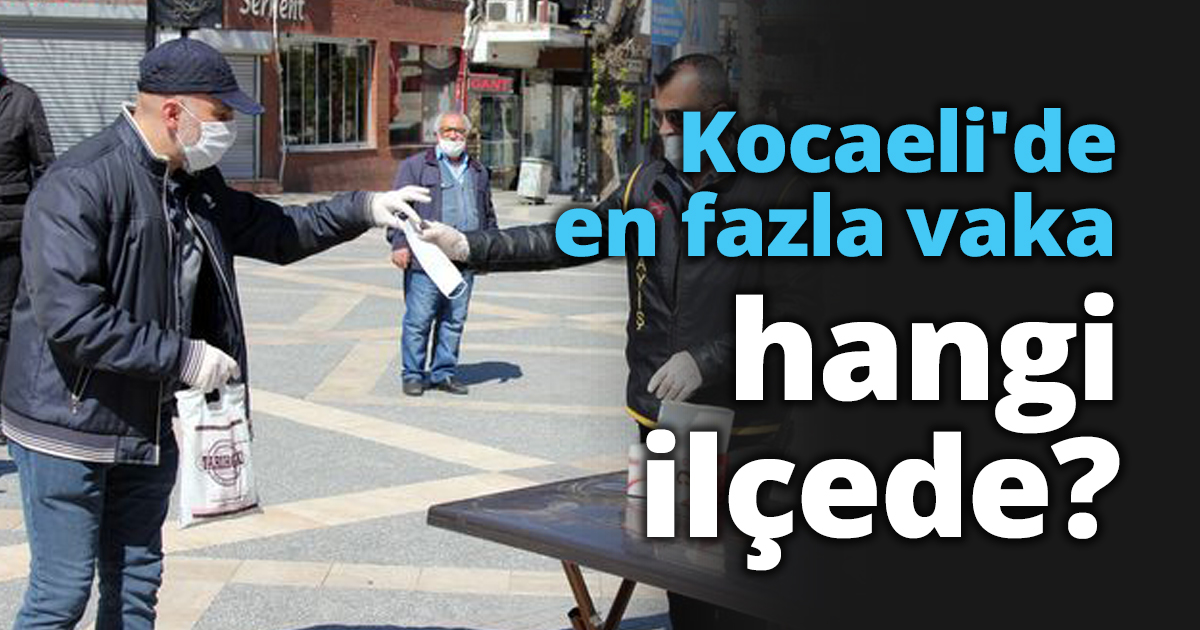 Kocaeli'de en fazla vaka hangi ilçede?