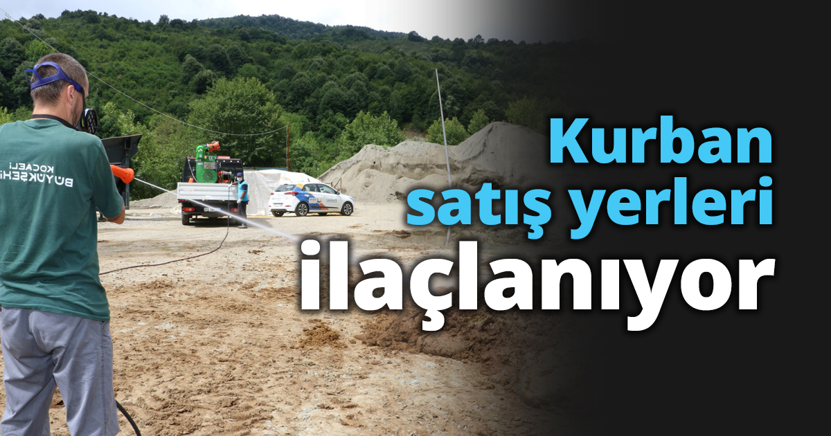 Kurban satış yerleri ilaçlanıyor