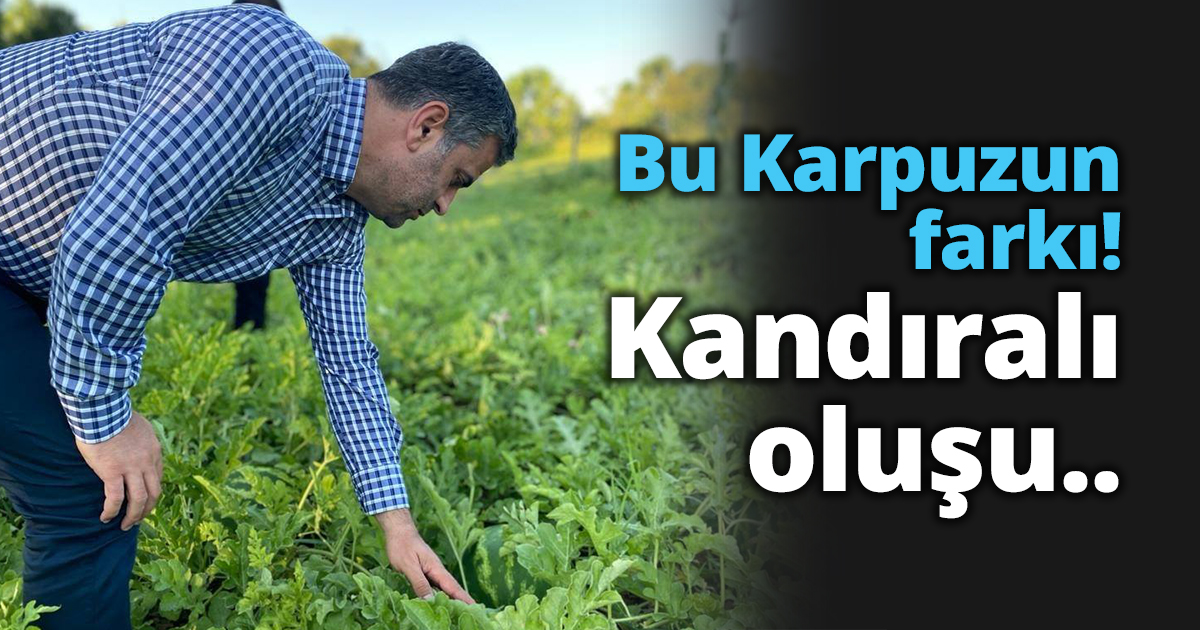 BAŞKAN TURAN;  “BU KARPUZUN FARKI KANDIRALI OLUŞU”
