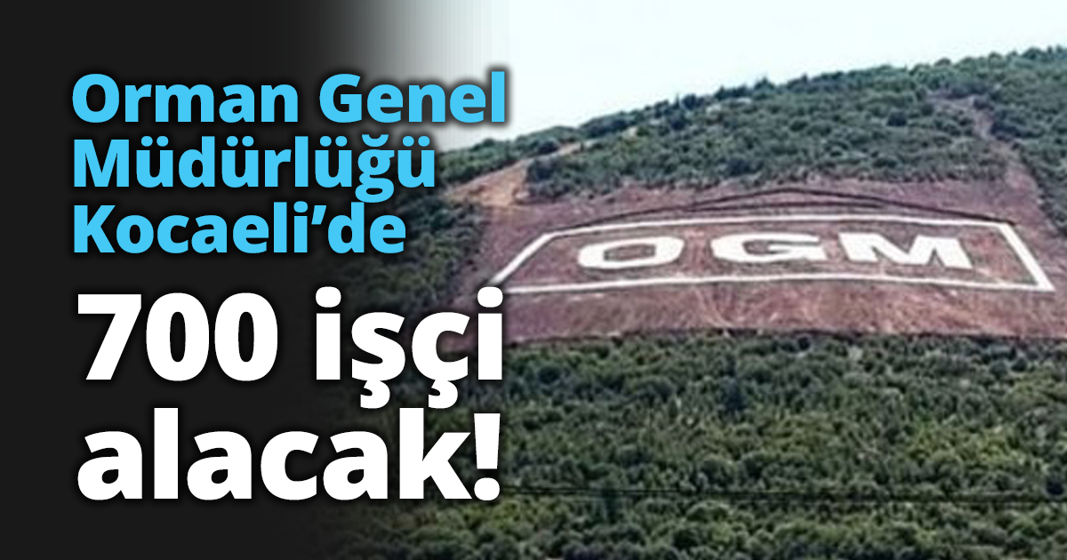 Orman Genel Müdürlüğü Kocaeli’de 700 işçi alacak!