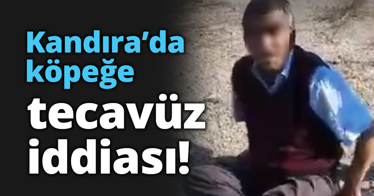 Kandıra’da köpeğe tecavüz iddiası!