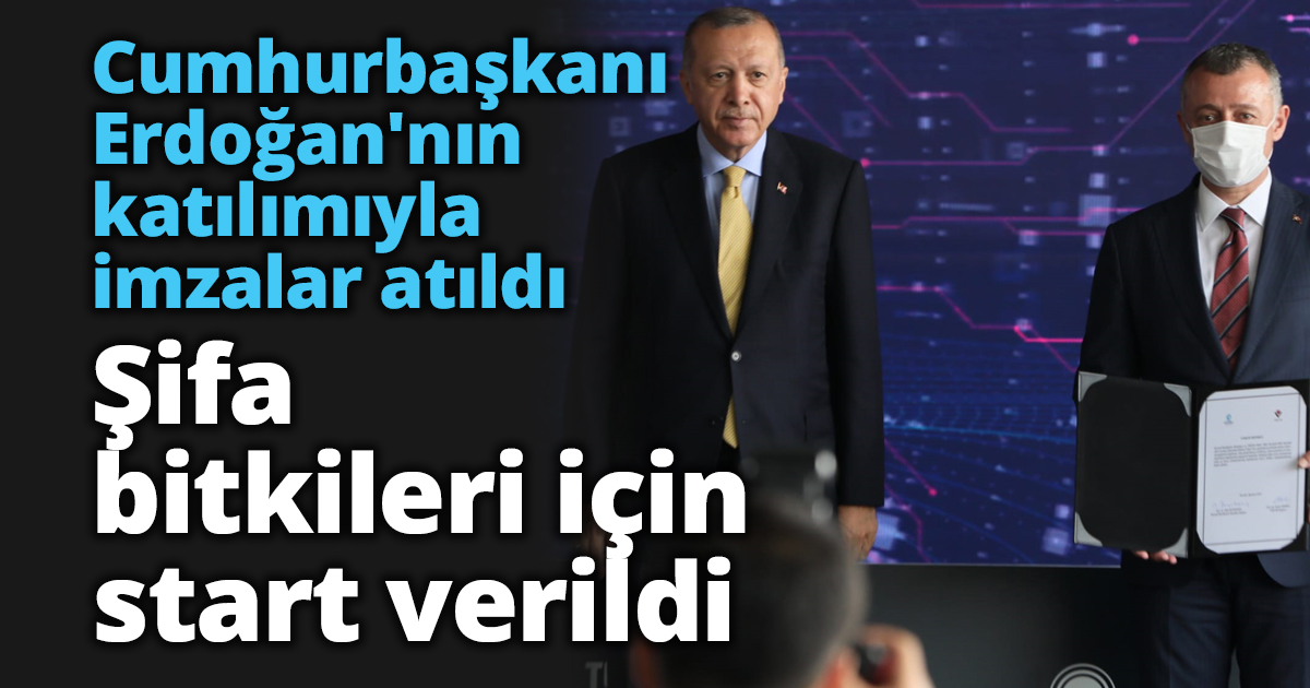 Şifa bitkileri için start verildi