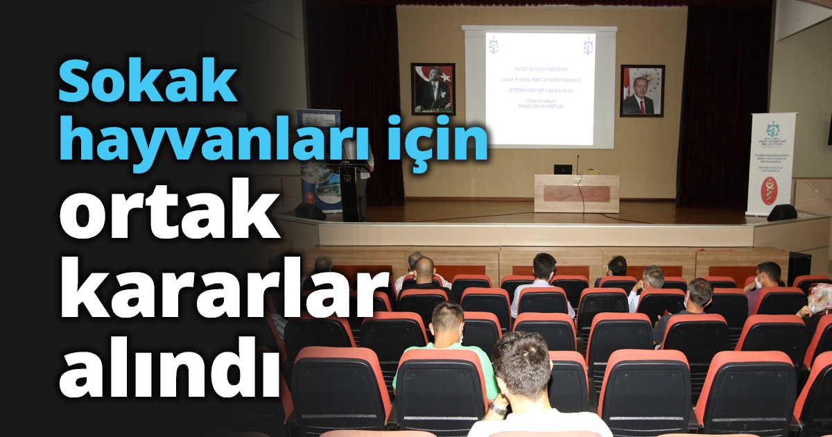 Sokak hayvanları için ortak kararlar alındı