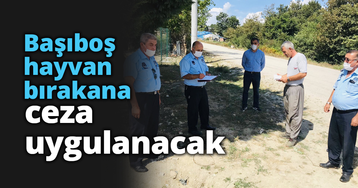 Başıboş hayvan bırakana ceza uygulanacak