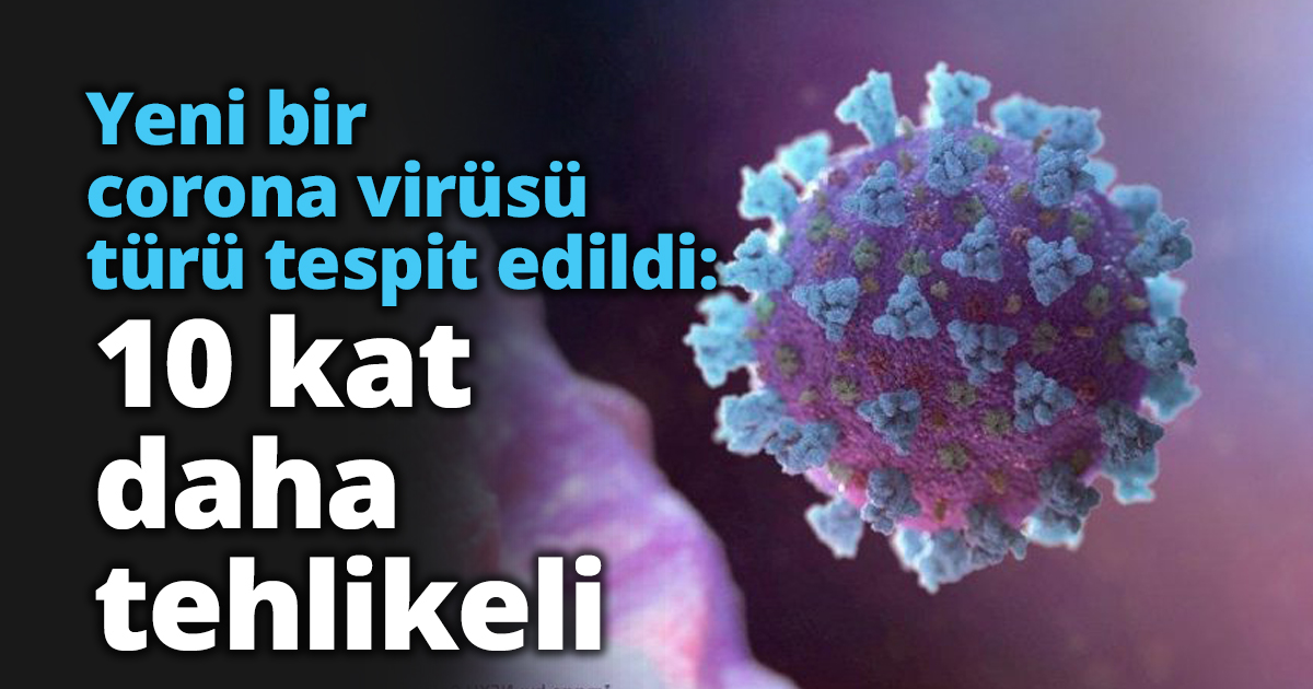 Yeni bir corona virüsü türü tespit edildi: 10 kat daha tehlikeli