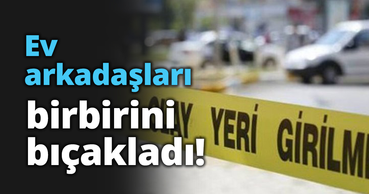 Ev arkadaşları birbirini bıçakladı!