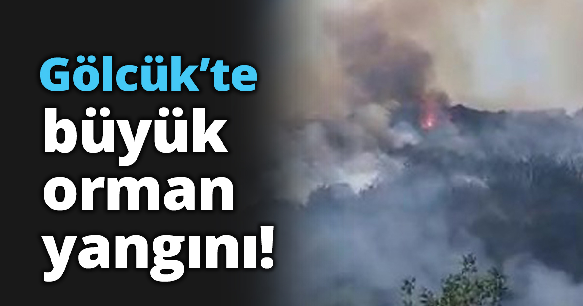 Gölcük’te büyük orman yangını!