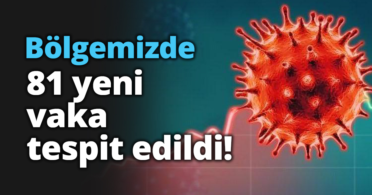 Bölgemizde 81 yeni vaka tespit edildi!