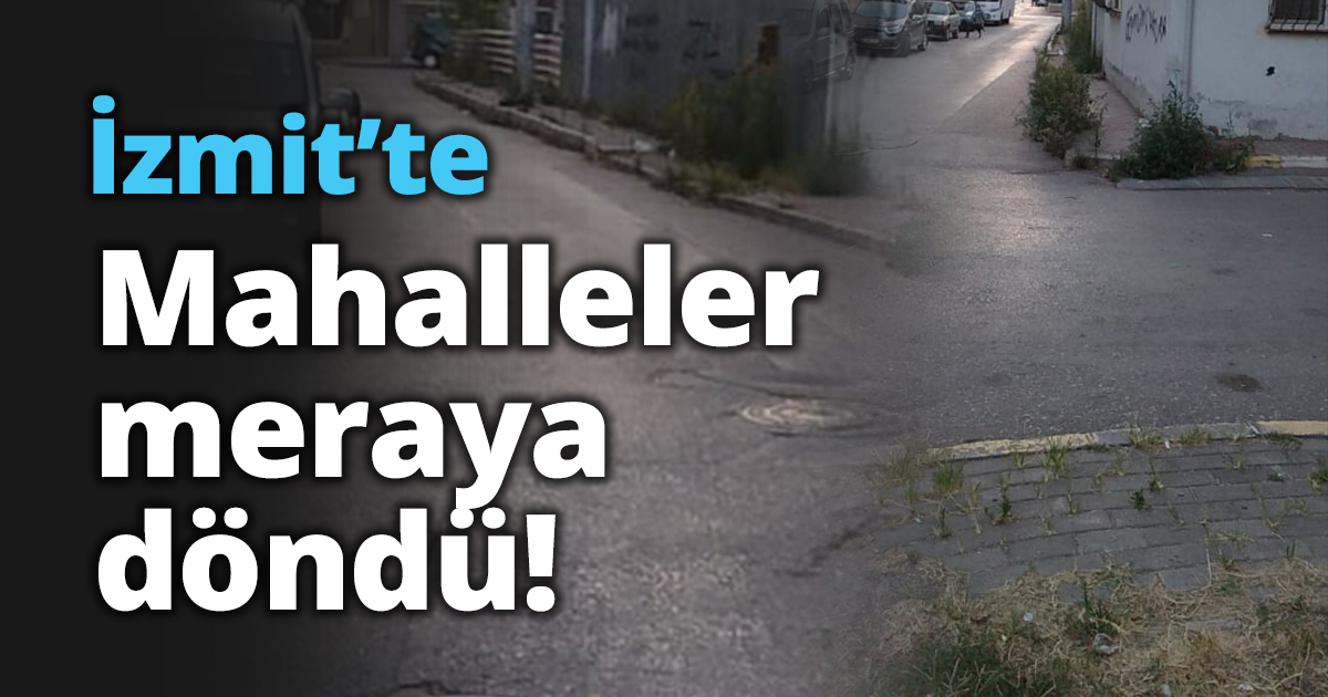 İzmit’te Mahalleler meraya döndü!