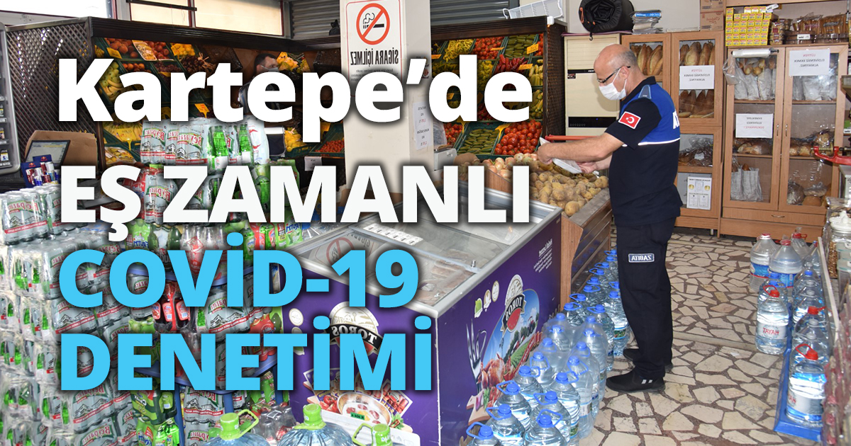 EŞ ZAMANLI COVİD-19 DENETİMİ