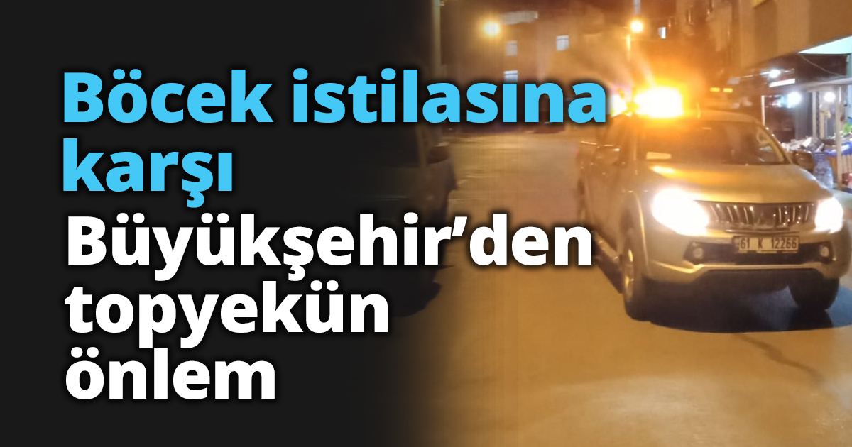 Böcek istilasına karşı Büyükşehir’den topyekün önlem
