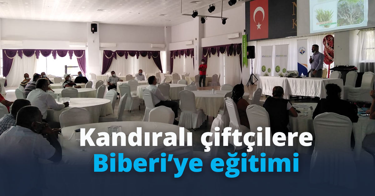 Kandıralı çiftçilere Biberi’ye eğitimi