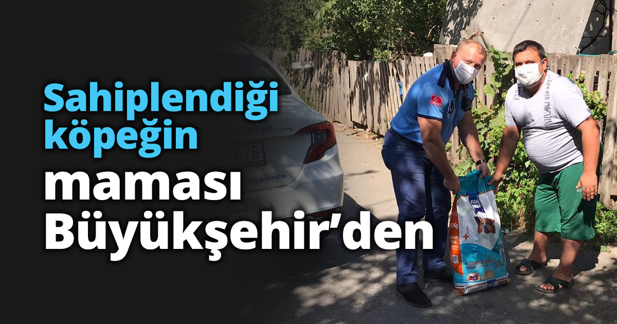Sahiplendiği köpeğin maması Büyükşehir’den