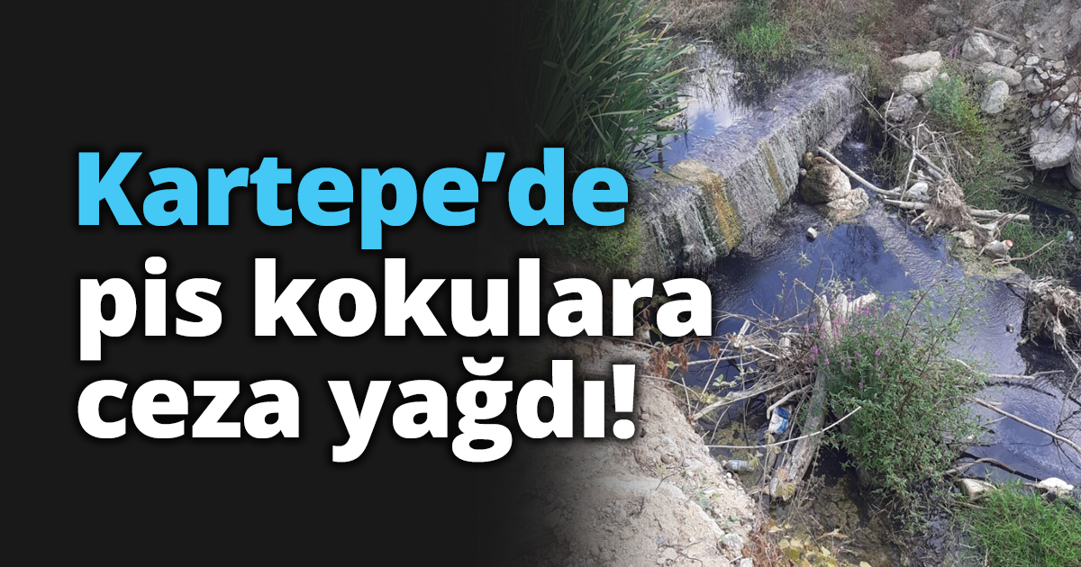 Kartepe’de pis kokulara ceza yağdı!