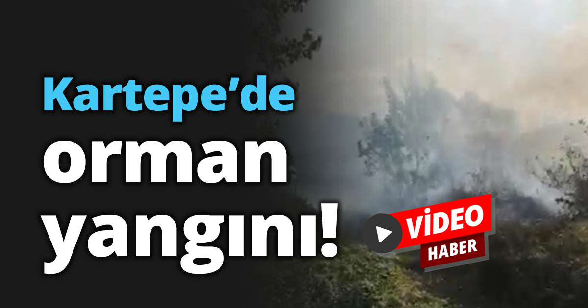 Kartepe’de orman yangını!