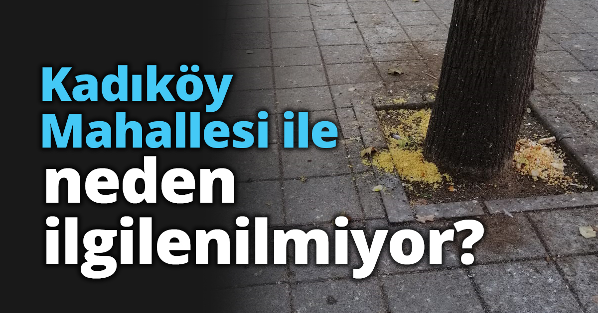 Kadıköy Mahallesi ile neden ilgilenilmiyor?