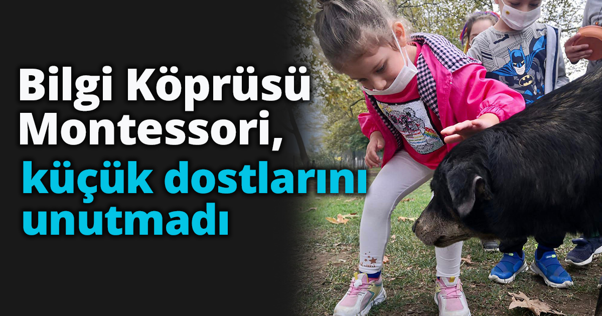 Bilgi Köprüsü Montessori, küçük dostlarını unutmadı