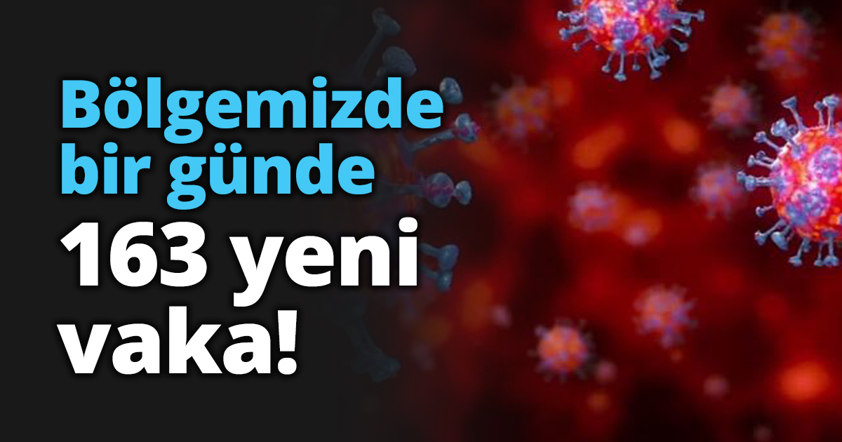 Bölgemizde bir günde 163 yeni vaka!