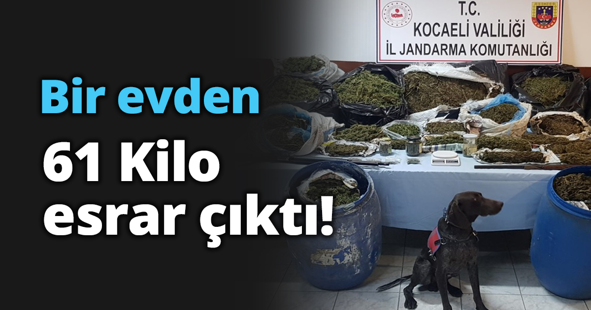 Bir evden 61 Kilo esrar çıktı!