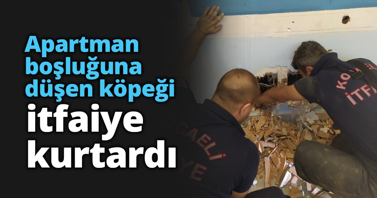 Apartman boşluğuna düşen köpeği itfaiye kurtardı
