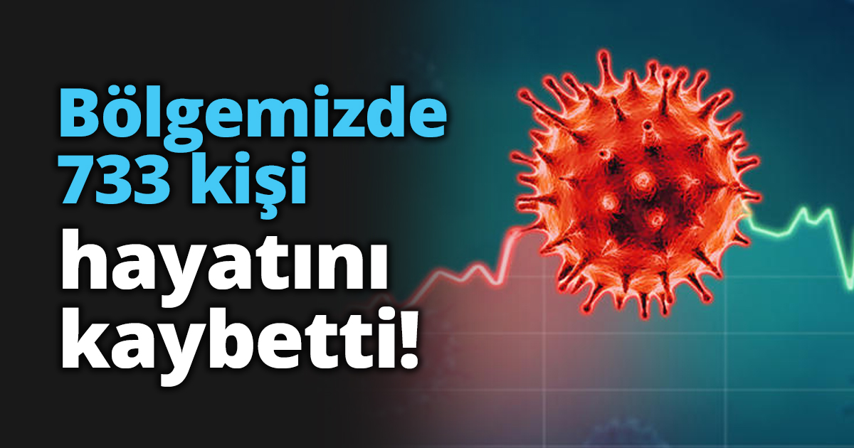 Bölgemizde 733 kişi hayatını kaybetti!