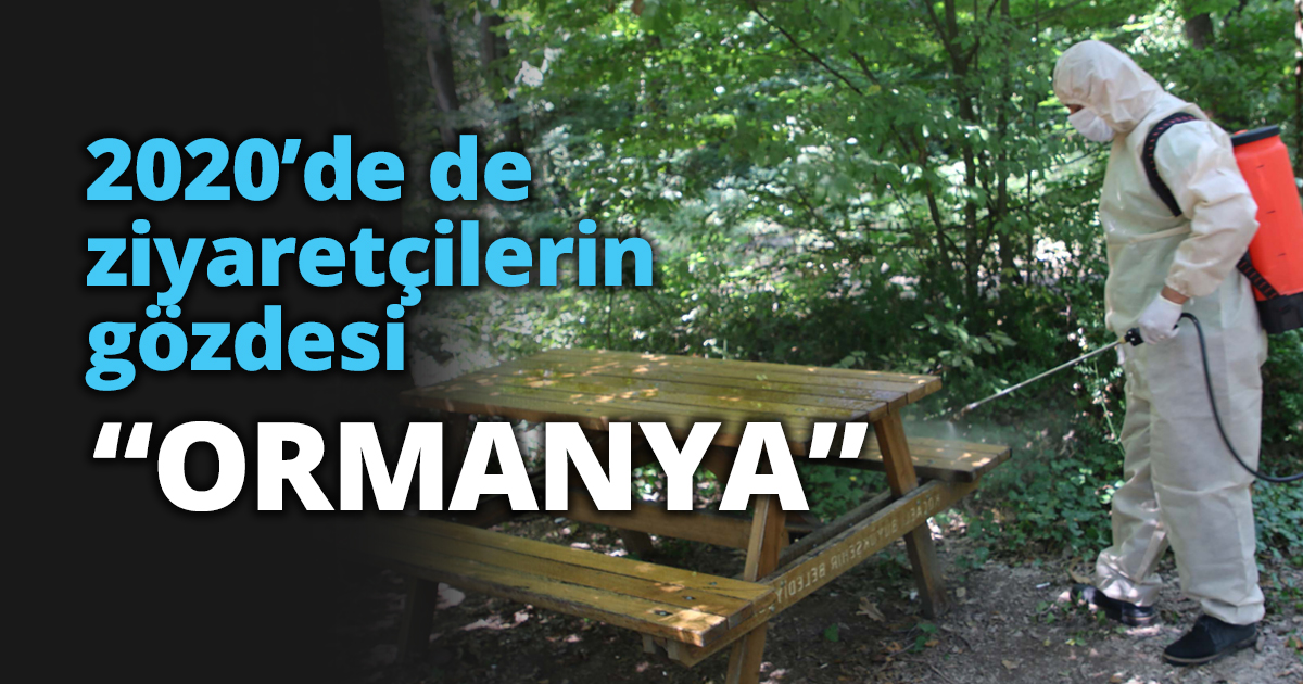 2020’de de ziyaretçilerin gözdesi “ORMANYA”
