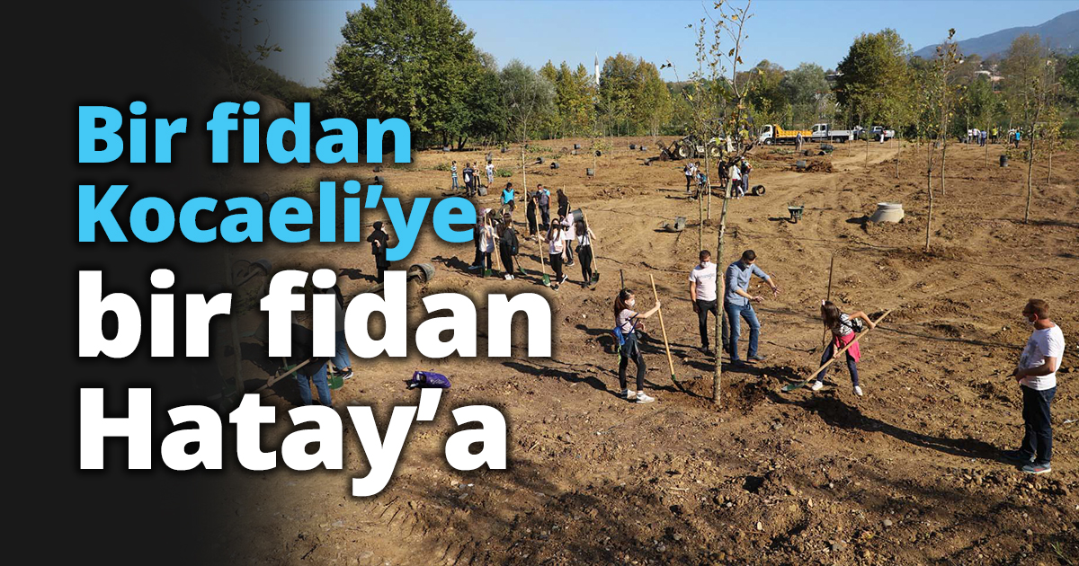 Bir fidan Kocaeli’ye bir fidan Hatay’a