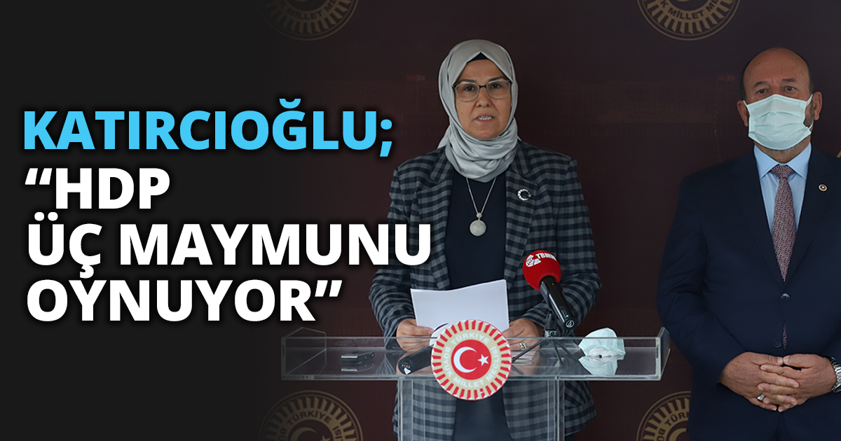KATIRCIOĞLU; “HDP ÜÇ MAYMUNU OYNUYOR”