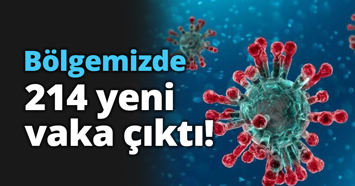 Bölgemizde 214 yeni vaka çıktı!