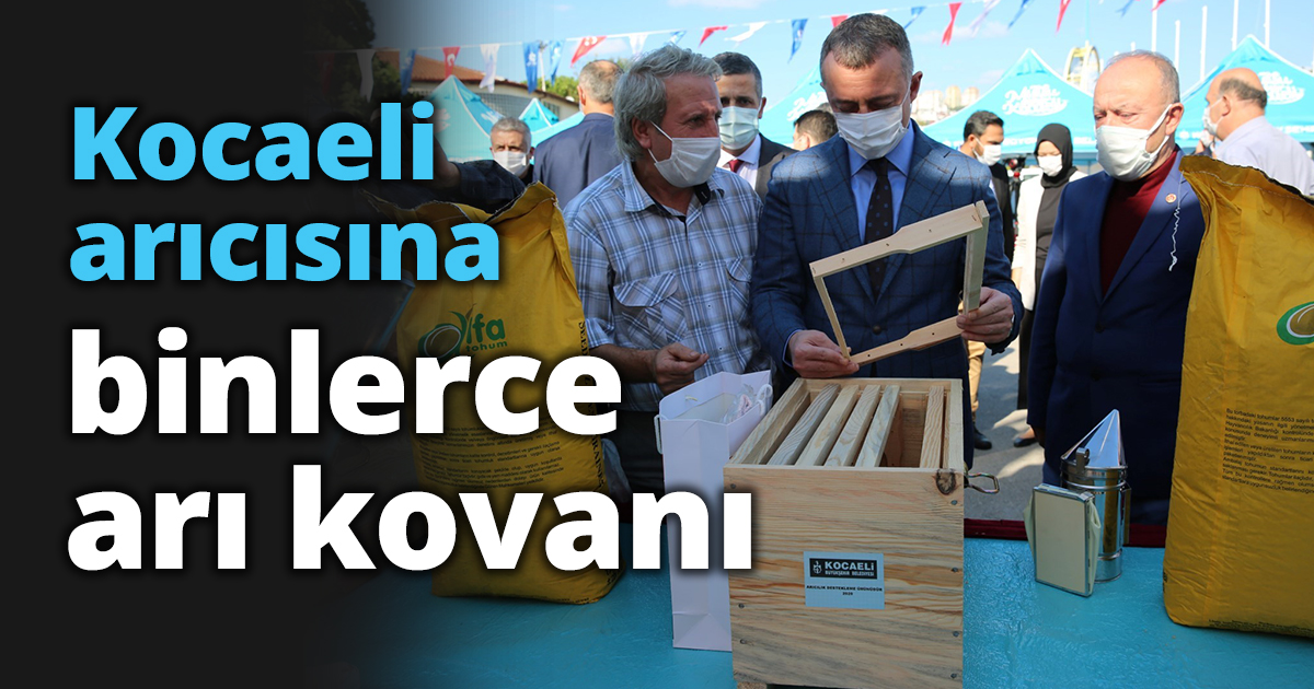 Kocaeli arıcısına binlerce arı kovanı