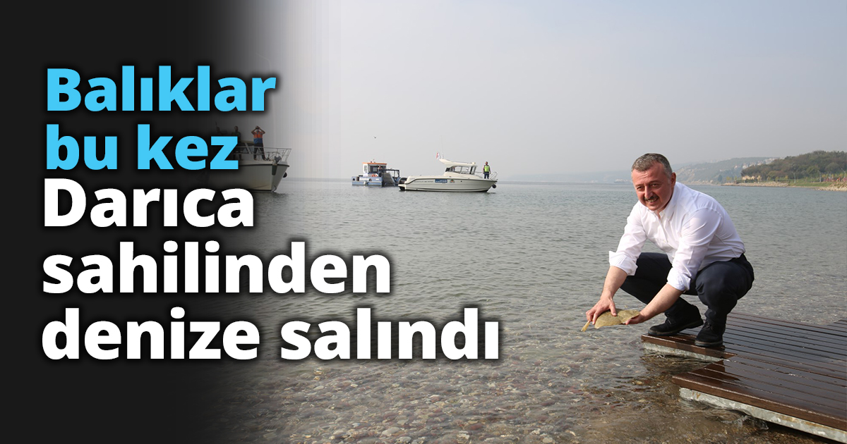 Balıklar bu kez Darıca sahilinden denize salındı   